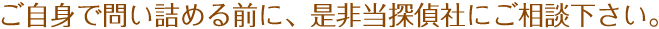 ご自身で問い詰める前に、是非当探偵社にご相談下さい。